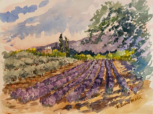 Les Vignobles et Lavender de Provence (Watercolor, 9 1/2 x 12 1/2)