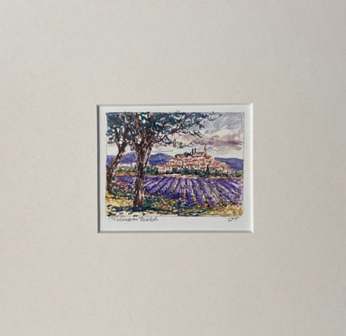 Lavender Fields Forever (7.25 x 7.25)